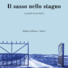 sasso nello stagno