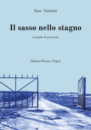 sasso nello stagno